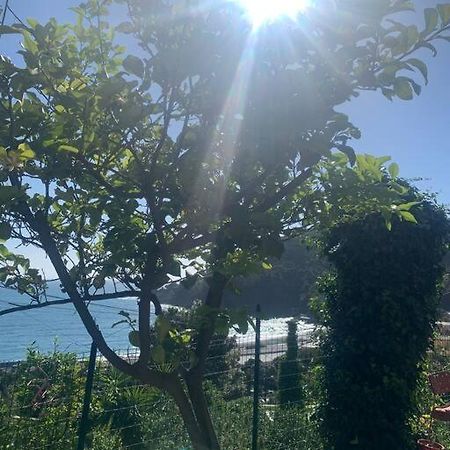 Cozy Beach House With Nice Garden, Basic Feel Apartment Бонасола Екстериор снимка