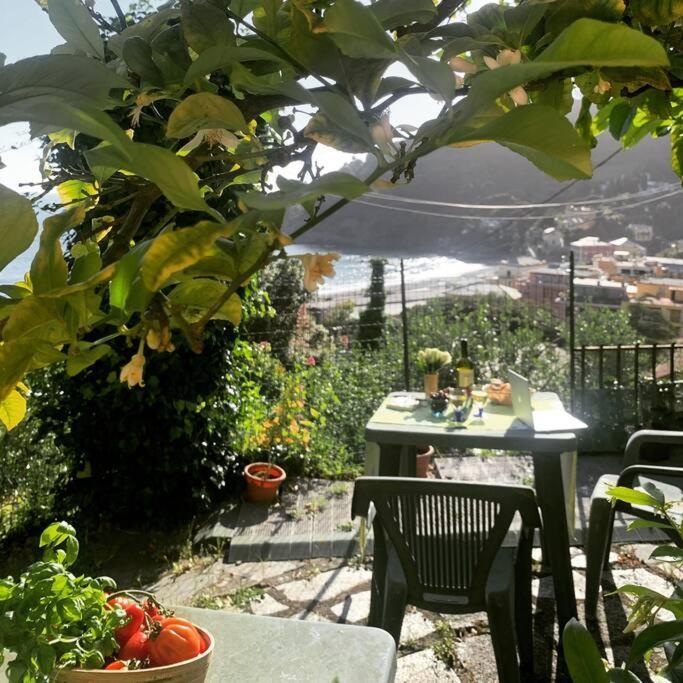 Cozy Beach House With Nice Garden, Basic Feel Apartment Бонасола Екстериор снимка